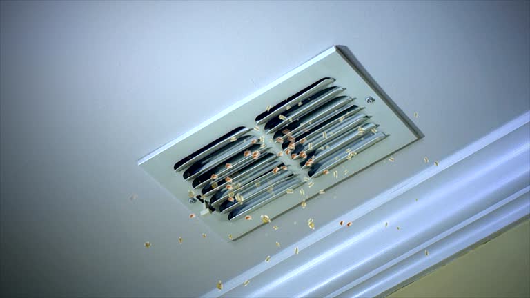 Best Home Air Vent Cleaning  in Dekal, IL