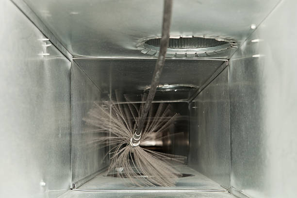 Best HVAC Duct Inspection Services  in Dekal, IL
